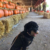 10/19/2018 tarihinde RJ D.ziyaretçi tarafından Wallkill View Farm Market'de çekilen fotoğraf