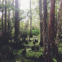 Photo taken at Barataria Preserve by Heather M. on 7/18/2016