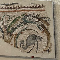 Photo prise au Büyük Saray Mozaikleri Müzesi par N E. le3/4/2023