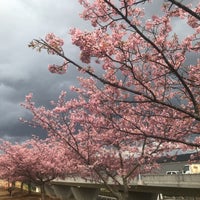 長嶋茂雄ロード 伊豆の国市 静岡県