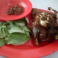 Rm Mitra 88 Burung Dara Goreng Sorong Papua Barat