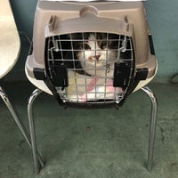 Photo taken at The Animal Foundation (Lied Animal Shelter) by Liberty A. on 8/11/2018
