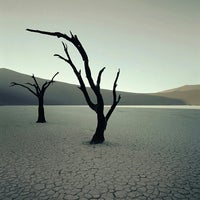 Skeleton Coast Park - National Park