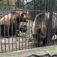 Photo taken at Novosibirsk Zoo by Olen&amp;#39;ka V. on 9/19/2020