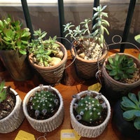 Photo taken at Alapash Home &amp;amp; Terrariums by S H. on 5/17/2013