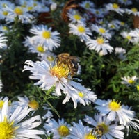 10/6/2012에 Eddy님이 Botanischer Garten에서 찍은 사진