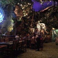 Photo taken at Rainforest Cafe by Alison G. on 6/3/2017
