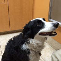 6/24/2014에 Nancy G.님이 Gilbert Veterinary Hospital-Animal Hospital에서 찍은 사진