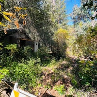 Redwood Grove Nature Preserve Park