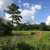 Photo taken at South Meadow Trail (Houston Arboretum) by Elizabeth F. on 6/27/2015