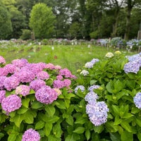 Photo taken at 堀之内 妙法寺 by Hideaki N. on 6/11/2023