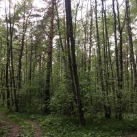 Photo taken at Кунцевский лес by Yana V. on 5/29/2017