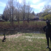 Demarest Duck Pond - 2 tips from 216 visitors