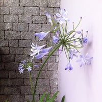 11/21/2012にRosana U.がAnna Premで撮った写真