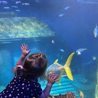 Photo taken at SEA LIFE München by Анна Ж. on 8/21/2022