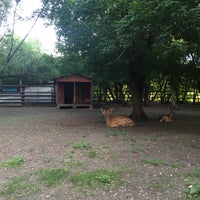 Photo taken at Золотые Ключи Contact Zoo by Anya M. on 6/26/2016