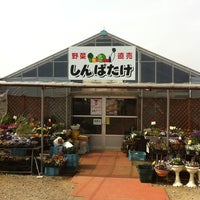 しんぱたけ 26 Visitors