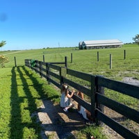 9/5/2020 tarihinde Amy N.ziyaretçi tarafından Gallrein Farms'de çekilen fotoğraf