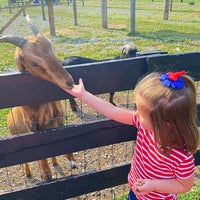 Photo taken at Gallrein Farms by Amy N. on 7/3/2021
