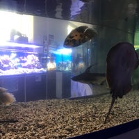 Photo taken at Морской аквариум by Anna T. on 11/9/2016