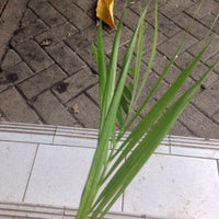 Review Gereja St. Petrus & Paulus