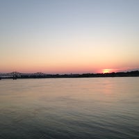 Magnolia bluff casino application online