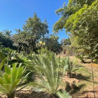 Foto diambil di Jardín Botánico Culiacán oleh Yamil A. pada 3/19/2023