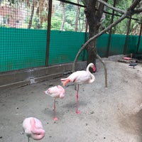 Photo taken at Kebun Binatang Ragunan by Ayu P. on 10/20/2019