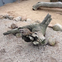 6/8/2014에 Troy H.님이 Halls Gap Zoo에서 찍은 사진