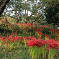 羽黒山公園 Park In 大崎市