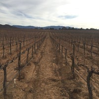Photo taken at Reyes Winery by Cecilia M. on 1/16/2016