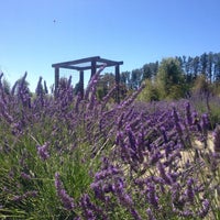 Photo taken at Wanaka Lavender Farm by Linger s. on 1/10/2016