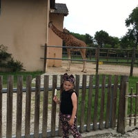 Foto tirada no(a) Parco Zoo Punta Verde por Екатерина Е. em 6/26/2016