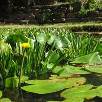 Botanischer Garten Westerberg Gutenbergstr