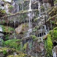Botanischer Garten Westerberg Gutenbergstr