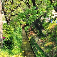 Photo taken at 練馬区立石神井西中学校 by 中野 忠. on 4/26/2015