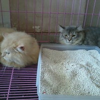 Photo taken at Mobby&amp;#39;s Animal Clinic &amp;amp; Pet Shop by T.J &amp;. on 5/14/2013
