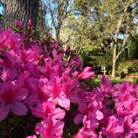 Photo taken at Bayou Bend Collection and Gardens by Kseniya S. on 3/6/2015