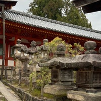 Photo taken at Kasuga-taisha Shrine by Ivan L. on 4/11/2024