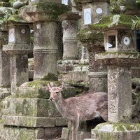 Photo taken at Kasuga-taisha Shrine by Ivan L. on 4/11/2024