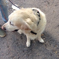 Ветклиника на нагатинском затоне. Мив ветеринарная. Мив ветеринарная. Мив ветеринарная. Мив ветеринарная.