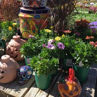 Photos At Cherry Valley Nursery Miscellaneous In Photos At Cherry Valley Nursery