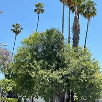 Photo taken at City of Pasadena by Adam P. on 7/18/2023