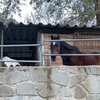 Photo taken at Arroyo Seco Stables by Adam P. on 3/4/2021
