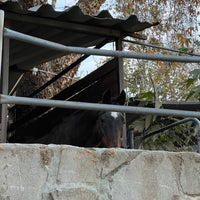 Photo taken at Arroyo Seco Stables by Adam P. on 12/16/2021