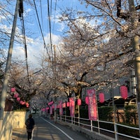 Photo taken at 染井稲荷神社 by kizaki s. on 3/24/2019