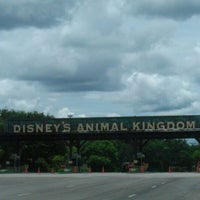 Animal Kingdom Parking Lot - Walt Disney World