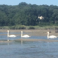 Photo taken at Nissequogue River State Park by Monica G. on 8/26/2015