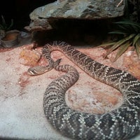 Photo taken at Reptile Garden by Vamsi A. on 10/20/2012