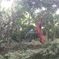 Photo taken at Primate Kingdom by Vamsi A. on 10/20/2012
